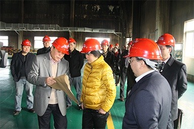 2012年1月31日，时任嘉兴市委书记鲁俊率领市发改委等市级部门负责人到公司调研