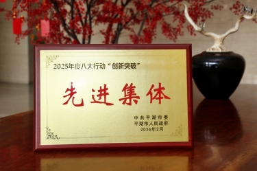 策马扬鞭启新程！8868体育手机版登录入口在平湖市三级干部大会上荣获“创新突破”双项荣誉